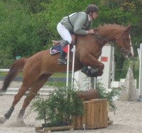 Bienvenue aux passionnés de chevaux et poneys